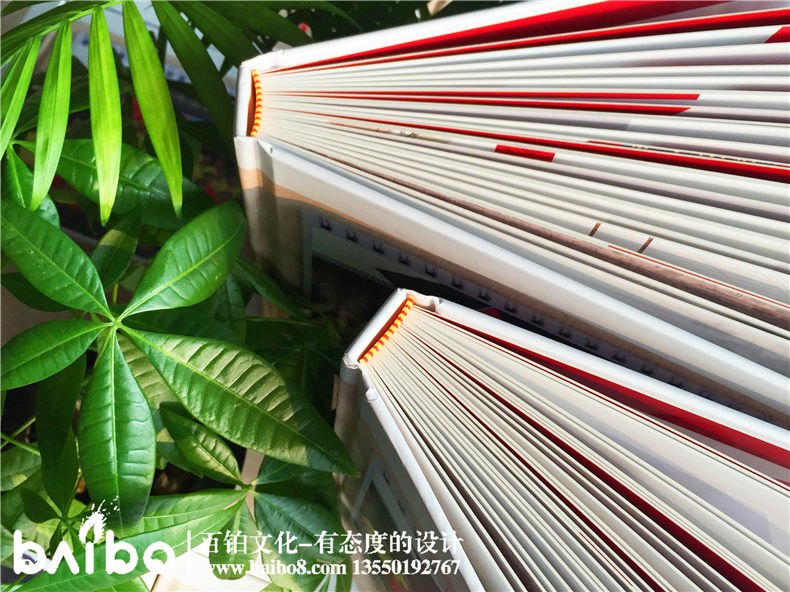 同學(xué)聚會紀念冊案例-畢業(yè)五十周年【一場大戲】