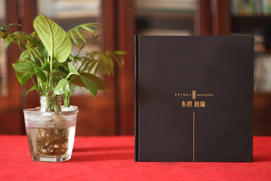 宣傳冊設(shè)計(jì)這么做，大氣側(cè)漏！