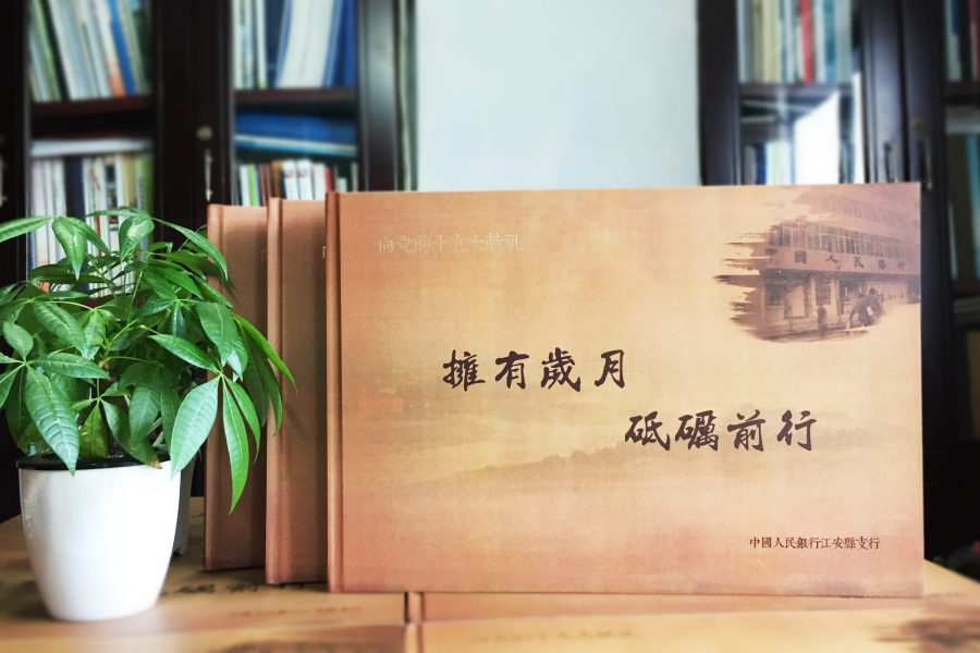 集團(tuán)公司十周年慶典紀(jì)念冊-企業(yè)畫冊設(shè)計(jì)